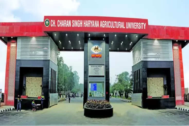 ccs haryana agricultural university entrance exam schedule: चौधरी चरण सिंह हरियाणा कृषि विश्वविद्यालय हिसार में प्रवेश परीक्षाओं का शेड्यूल हुआ जारी, देखें कब है परीक्षा