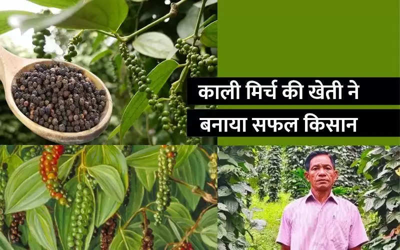 जैविक खेती कर ये किसान 17 लाख से अधिक की करता है कमाई, भारत सरकार से मिल चूका है पद्म श्री सम्मान