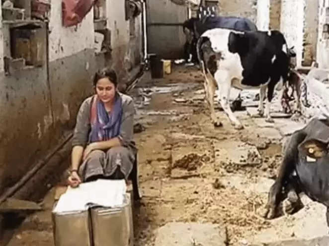 कड़ी मेहनत और लगन से सोनाली शर्मा बनी जच, कभी उठाती थी गायों के तबेले में गोबर,