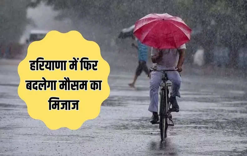 Haryana Weather Update : 