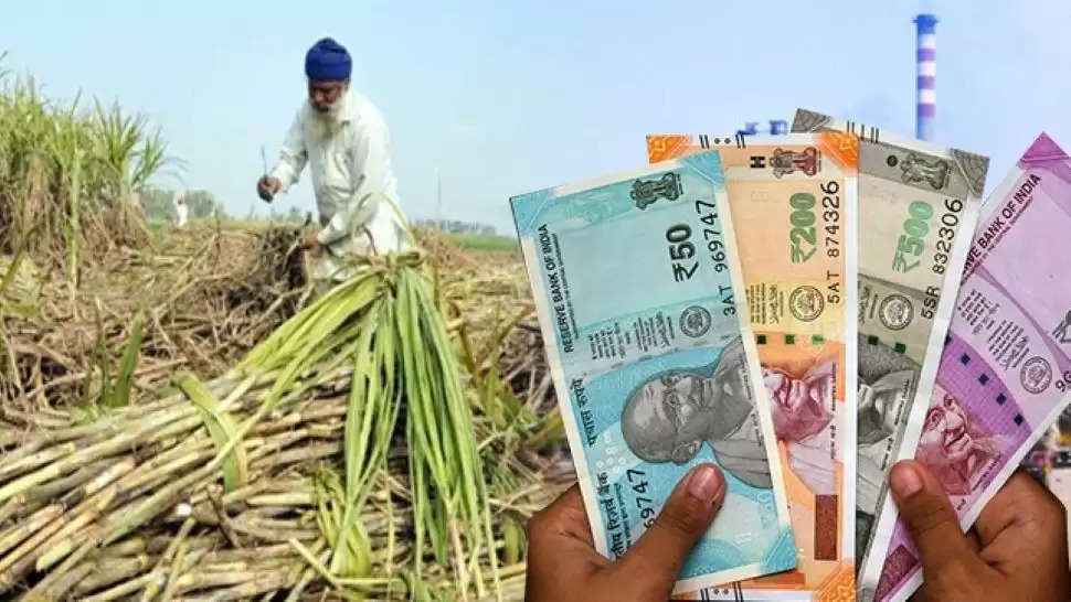 FRP for Sugarcane: सरकार का किसानों को तोहफा, लागत से दोगुना मिलेगी गन्ने की कीमत, ये है एक क्विंटल का रेट?