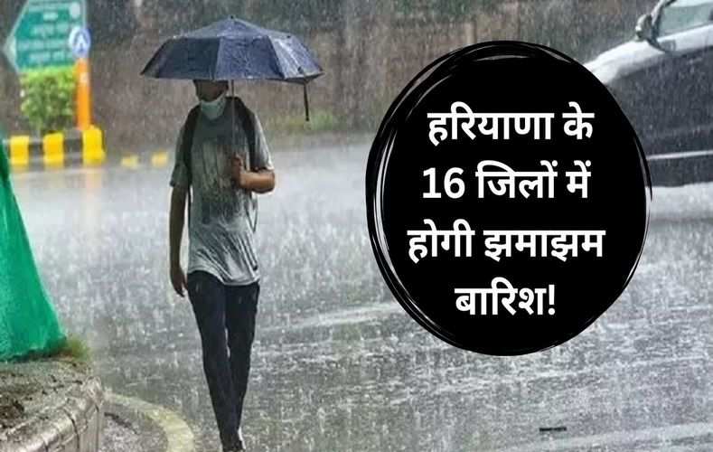 हरियाणा के 16 जिलों में होगी झमाझम बारिश! मौसम विभाग ने जारी किया येलो अलर्ट; देखें अपने शहर के मौसम का हाल 