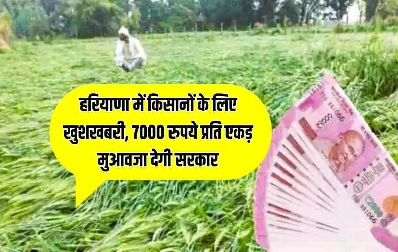 हरियाणा में किसानों के लिए खुशखबरी, 7000 रुपये प्रति एकड़ मुआवजा देगी सरकार, सीएम ने की घोषणा