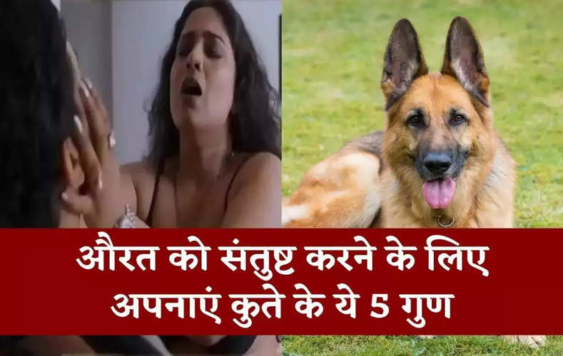 Chankya Niti: पत्नी को संतुष्ट और खुश रखने के लिए कुत्ते के होने चाहिए 5 गुण,  जानिये कैसे करेंगे काम