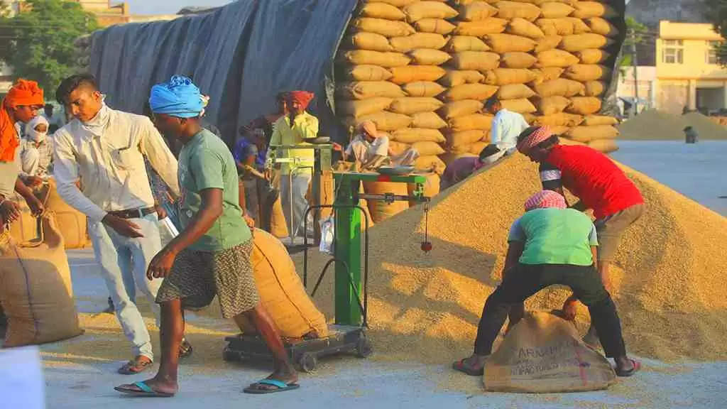 Flour and Wheat Prices: जल्द कम होंगे आटे और गेहूं के दाम, सरकार ने तैयार की खास योजना