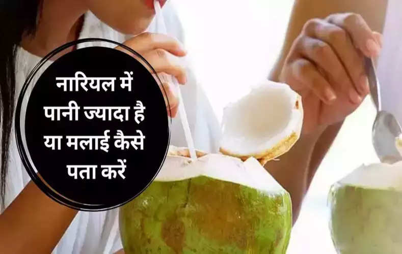 Nariyal Pani Tips: नारियल में पानी ज्यादा है या मलाई कैसे पता करें, इन 3 टिप्स से कर सकते हैं पहचान