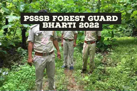 PSSSB Forest Guard Bharti 2022 : पंजाब में फॉरेस्ट गार्ड सहित कई पदों पर बंपर नौकरियां, शॉर्ट नोटिस जारी