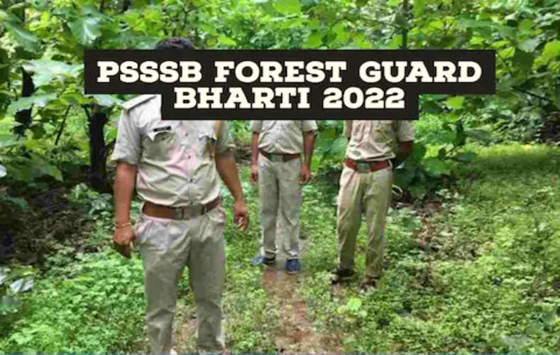 PSSSB Forest Guard Bharti 2022 : पंजाब में फॉरेस्ट गार्ड सहित कई पदों पर बंपर नौकरियां, शॉर्ट नोटिस जारी