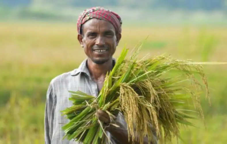 किसानों के लिए खुशखबरी, क्रिसमस से पहले खाते में क्रेडिट हो जाएंगे 4000 रुपये, चेक कर लें ये अहम बातें