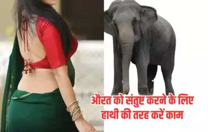  Chanakya Niti: औरत को संतुष्ट करने के लिए हाथी की तरह करें काम, एक झटके में हो जाएगी खुश