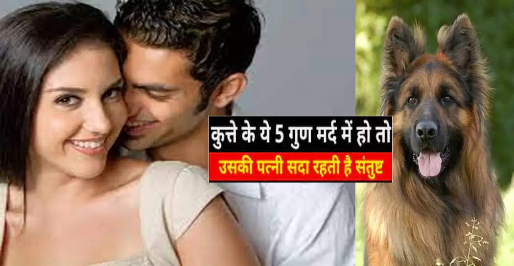 Chanakya Niti : जिस पुरुष में होते हैं कुत्ते ये 5 गुण उसकी स्त्री रहती है संतुष्ट