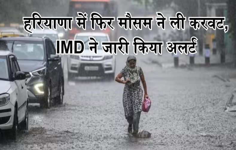  हरियाणा में फिर मौसम ने ली करवट, IMD ने जारी किया अलर्ट, देखें मौसम पूर्वानुमान