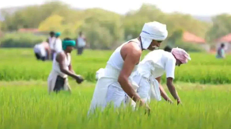 PM Kisan की 13वीं क‍िस्‍त से पहले सरकार का बड़ा ऐलान, 14 करोड़ क‍िसानों की बल्‍ले-बल्‍ले
