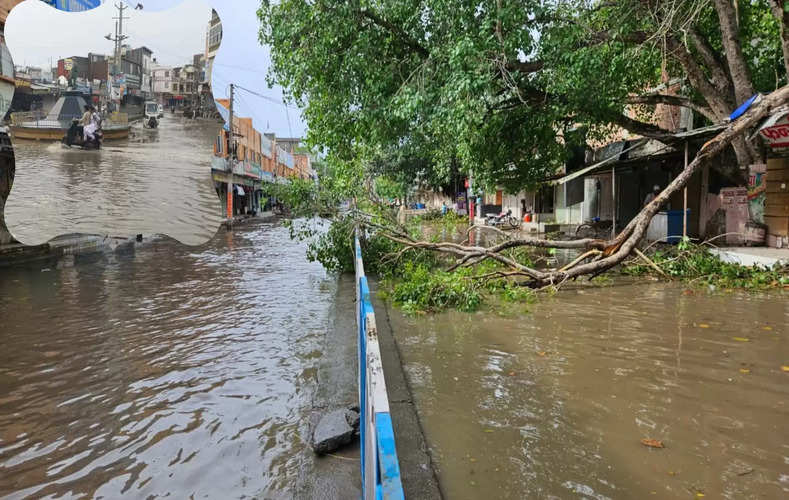 Haryana News : हरियाणा में इस जगह आज तड़के तूफान के साथ आई भारी बारिश, शहर की बिजली गुल, कई हिस्से पानी से जलमग्न