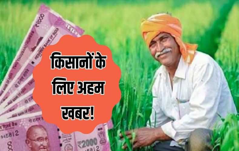किसानों के लिए अहम खबर! PM किसान सम्मान निधि का फायदा लेना है तो फटाफट करवाएं ये जरुरी काम, नहीं तो अटक सकते हैं पैसे 