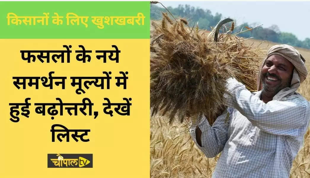 हरियाणा, राजस्थान समेत सभी किसानों के लिए खुशखबरी, फसलों के नये समर्थन मूल्यों में हुई बढ़ोत्तरी, देखें लिस्ट     