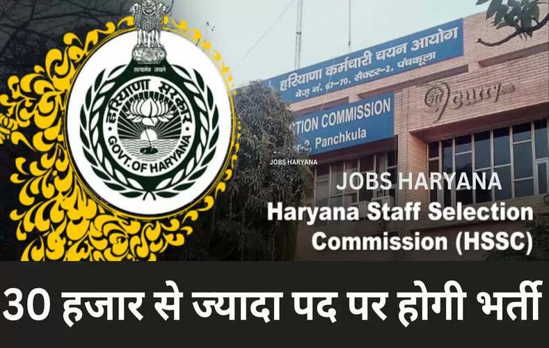 jobs haryana 
